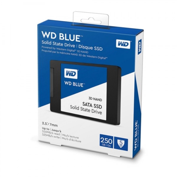 WD 250GB Blue Series SSD Disk WDS250G2B0A 