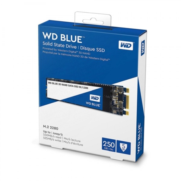 WD 250GB Blue Series SSD m.2 Sata WDS250G2B0B 